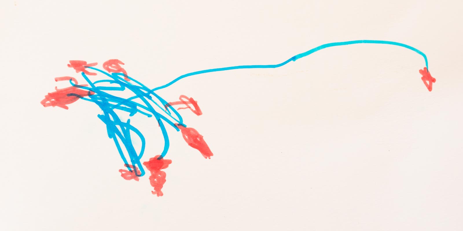 A flower