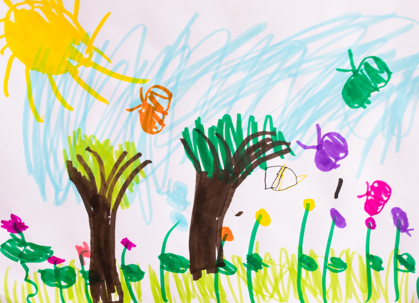 Spring